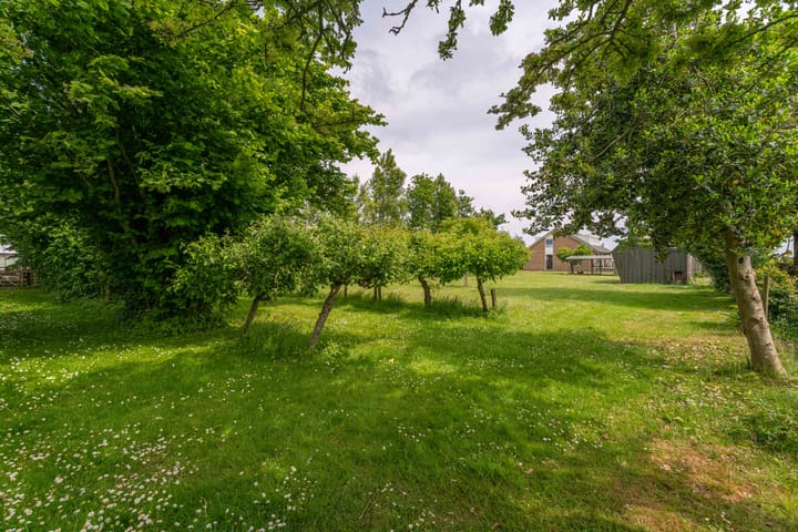 Foto 36 van Oude Duinweg 5