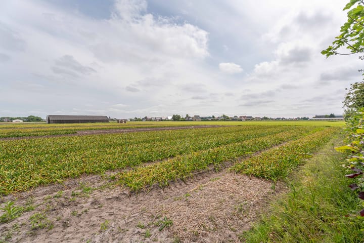 Foto 40 van Oude Duinweg 5