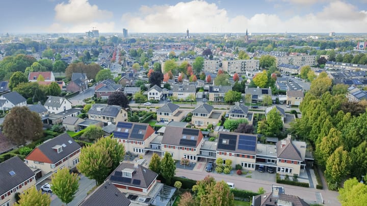 Foto 28 van Brandnetel 8