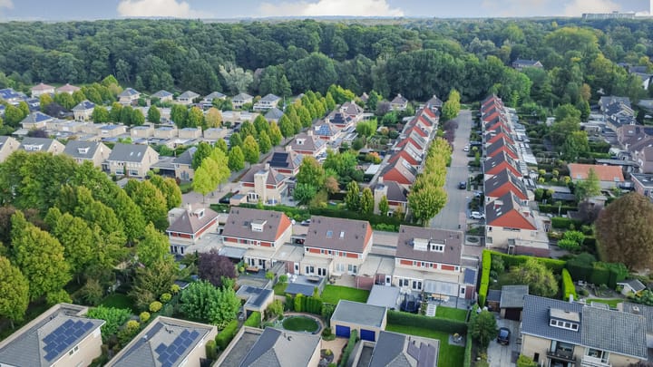 Foto 29 van Brandnetel 8