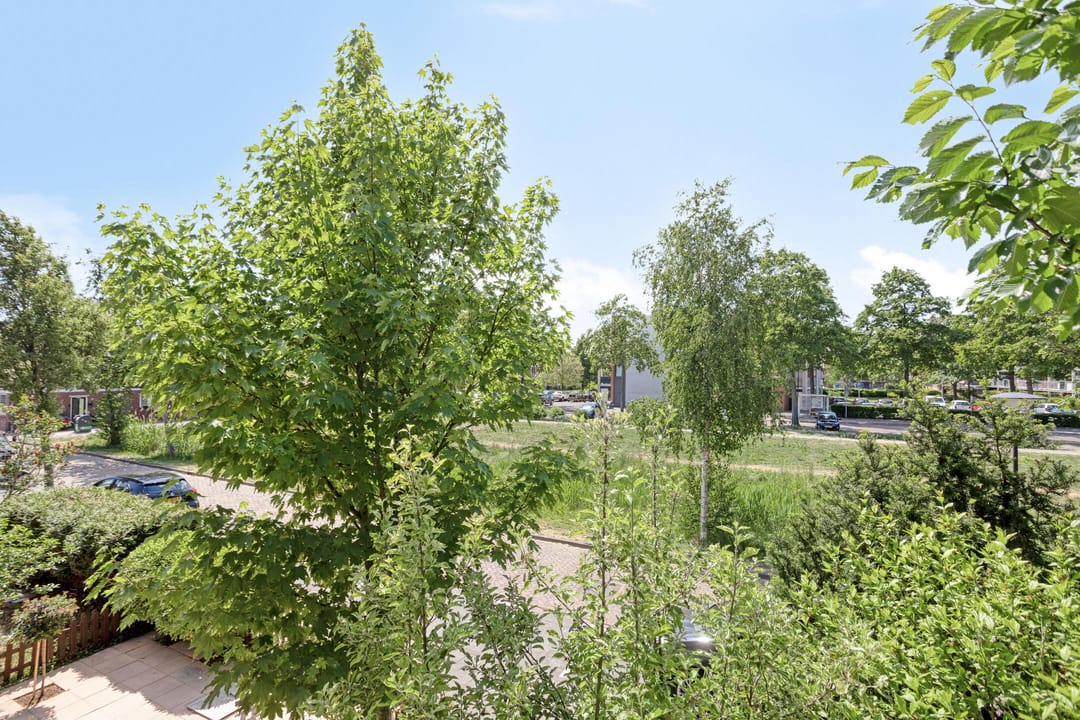 Foto 31 van Schuurmanstraat 13