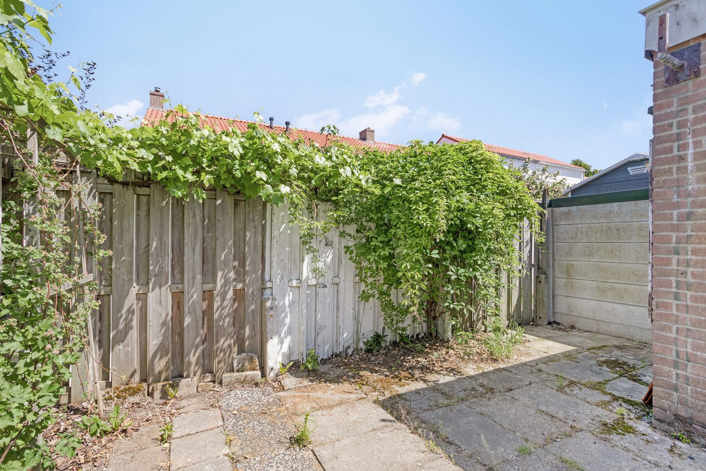 Foto 19 van Schuurmanstraat 13