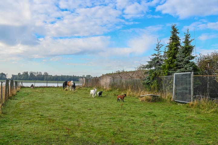 Foto 42 van Dr. Albert Schweitzerdreef 267