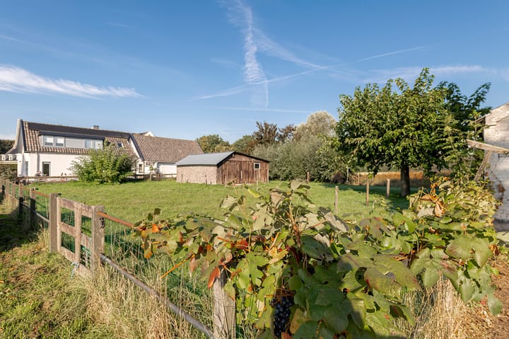 Photo 26 of De Heuvel 4