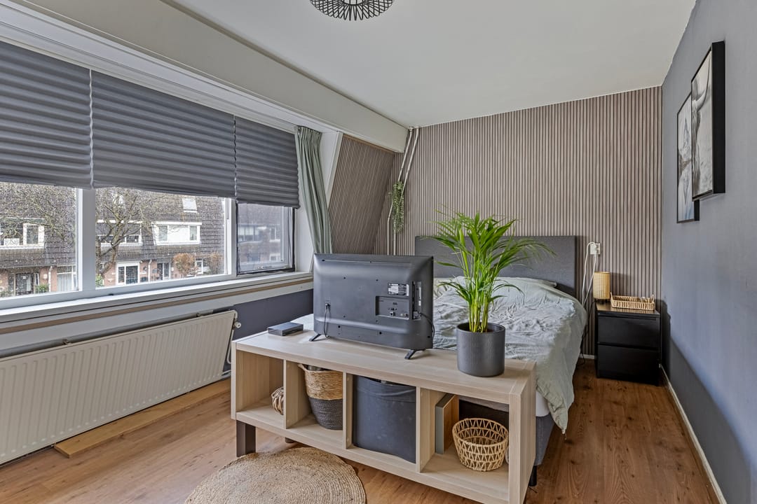 Foto 23 van de Bittervoorn 10