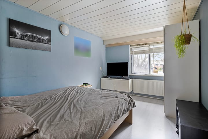 Foto 27 van de Bittervoorn 10