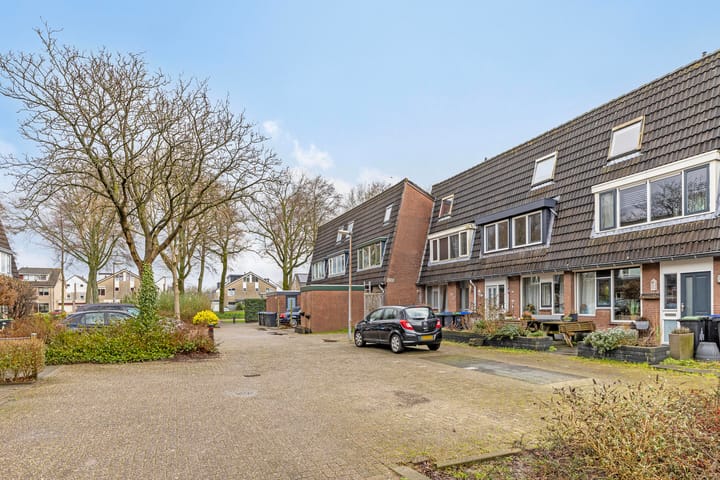 Foto 33 van de Bittervoorn 10