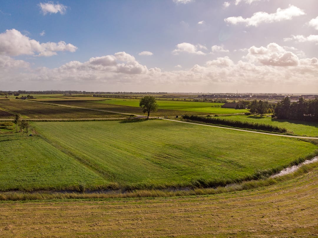 Foto 7 van Buitendijksweg