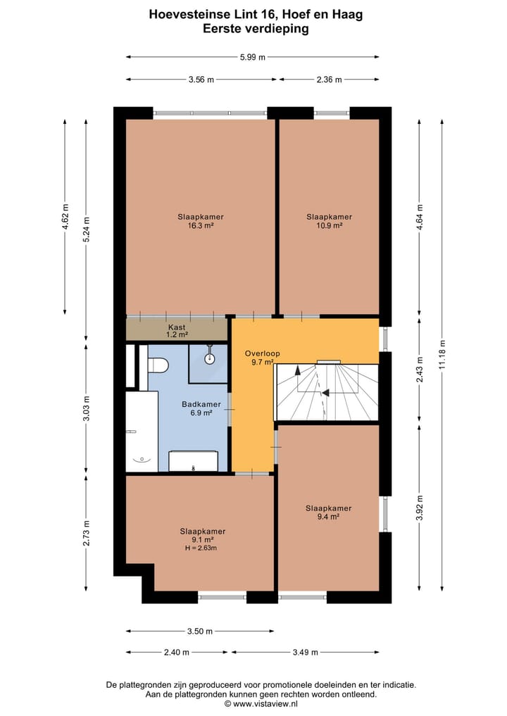 Foto 50 van Hoevesteinse Lint 16