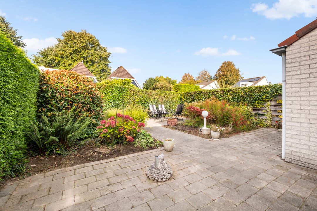 Foto 2 van Bieslook 2