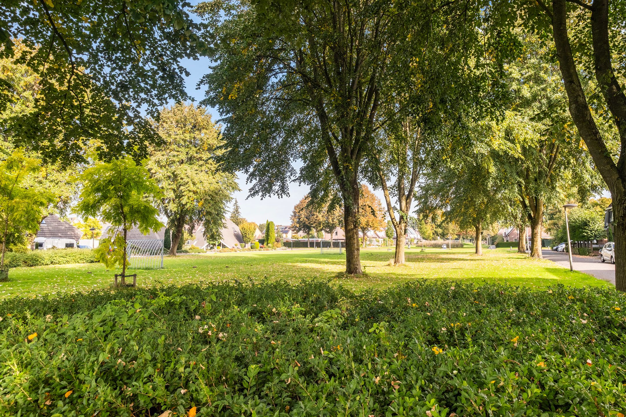 Foto 3 van Bieslook 2