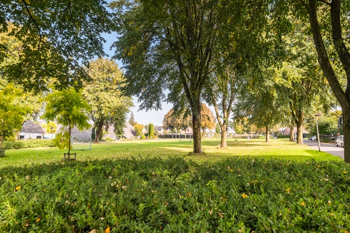 Foto 3 van Bieslook 2