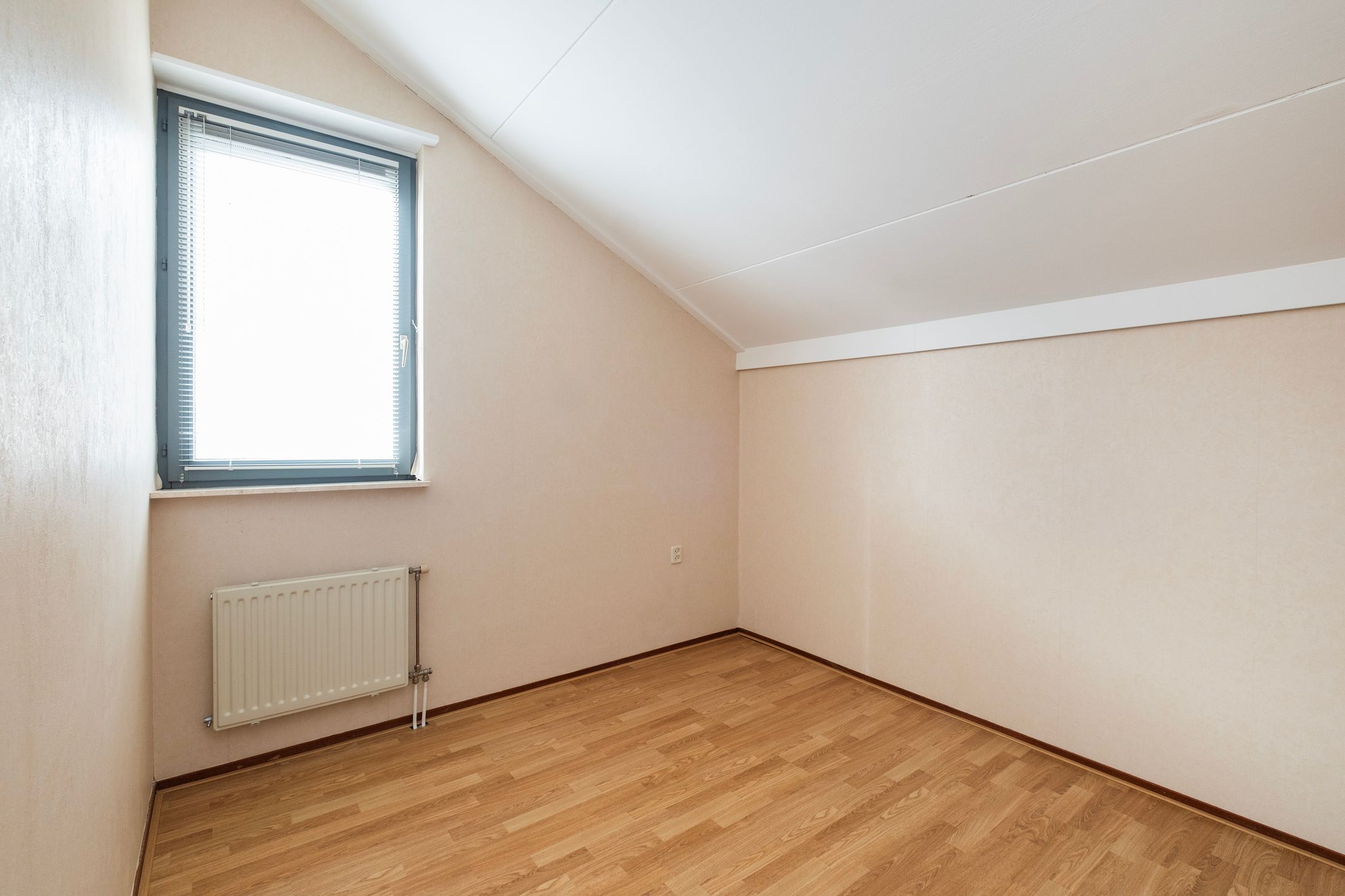 Foto 18 van Bieslook 2