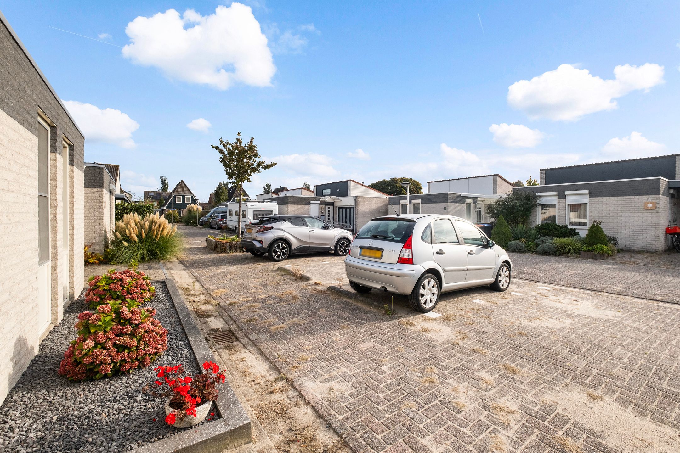 Foto 24 van Bieslook 2