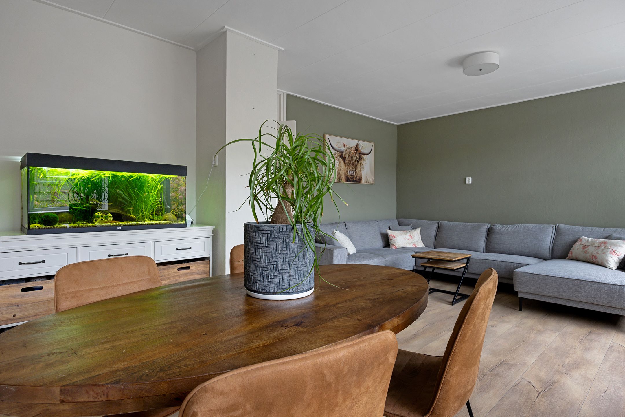 Foto 24 van van Hogendorpstraat 30