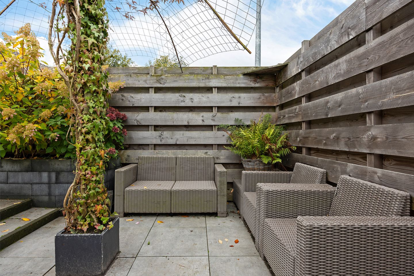 Foto 44 van van Hogendorpstraat 30