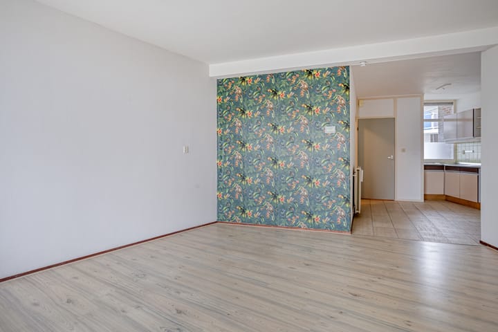 Foto 5 van De Spinne 20