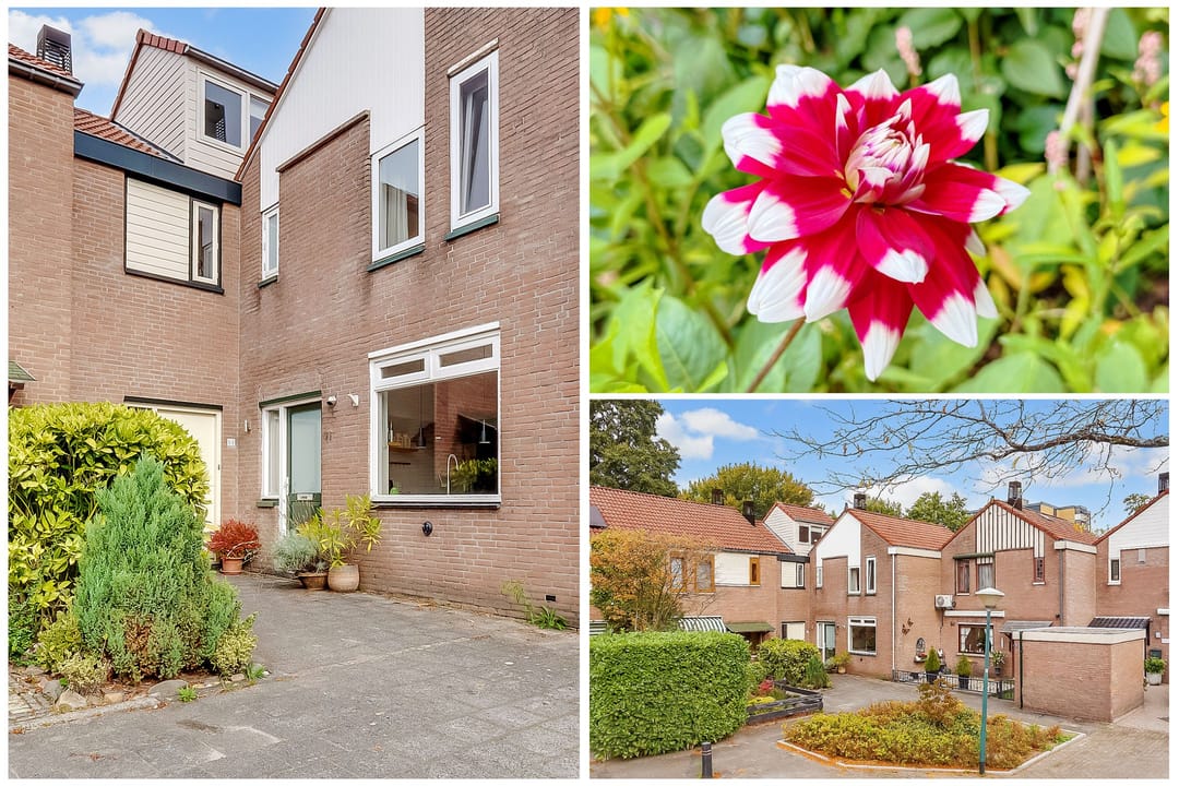 Foto 2 van Draailier 71