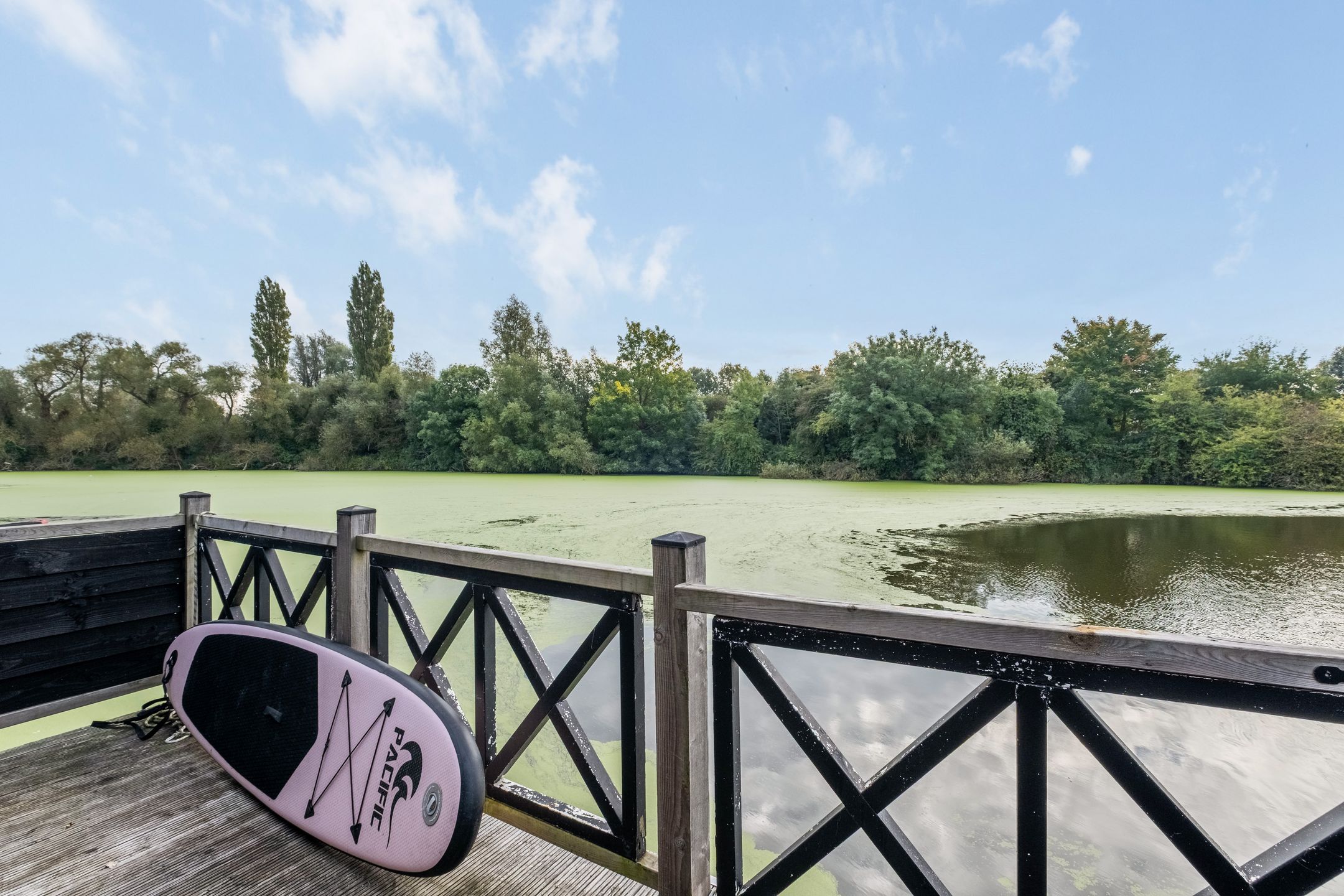 Foto 45 van Waterhoenstraat 20