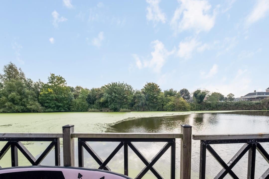 Foto 46 van Waterhoenstraat 20