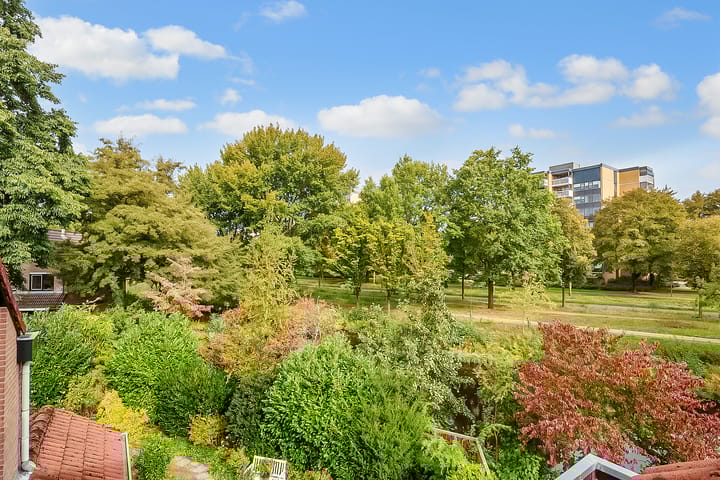 Foto 28 van Draailier 71