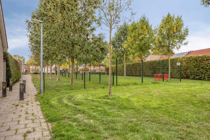 Foto 42 van De Gaffel 3