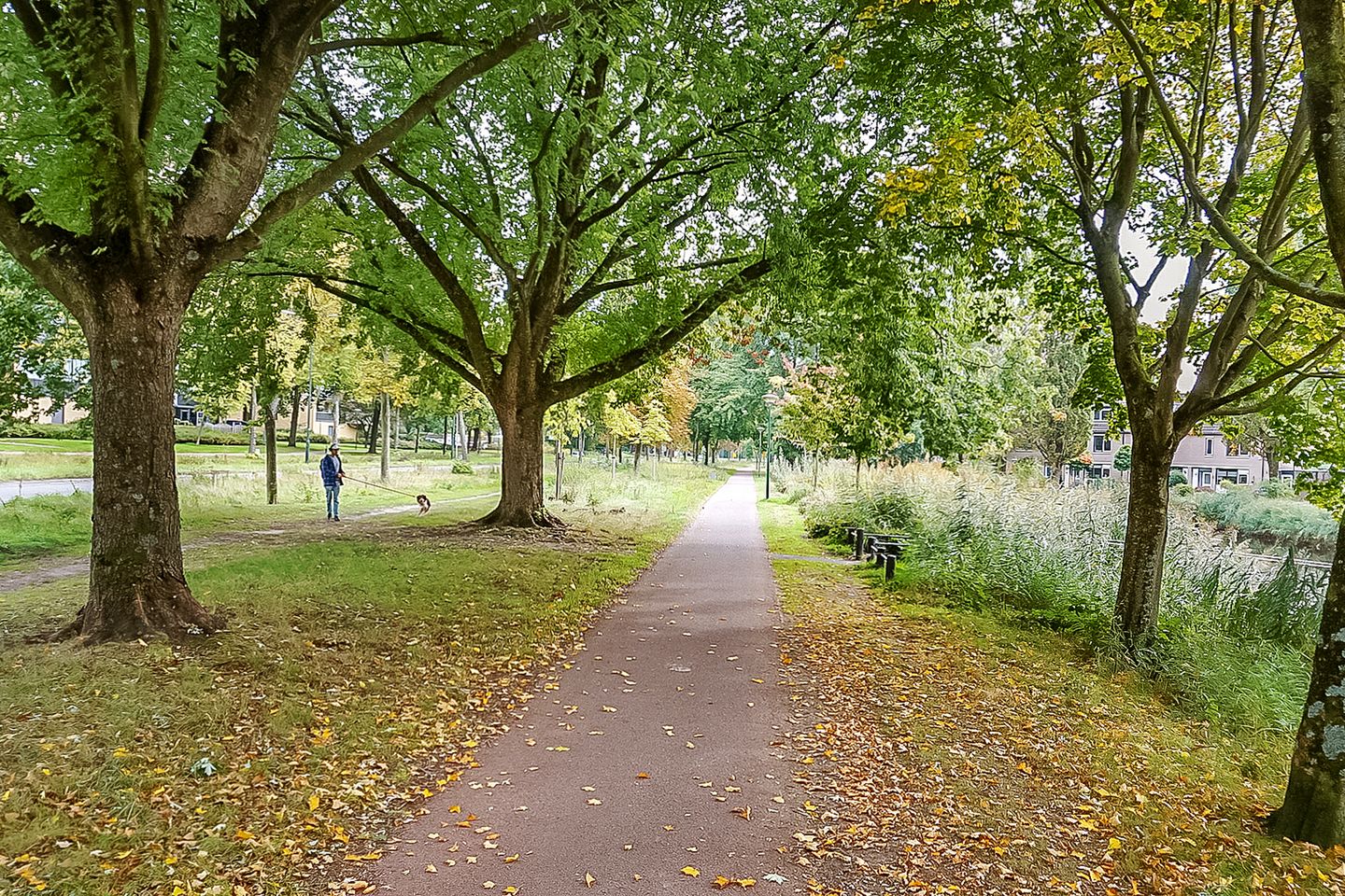 Foto 40 van Draailier 71