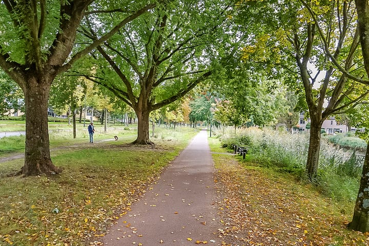 Foto 40 van Draailier 71