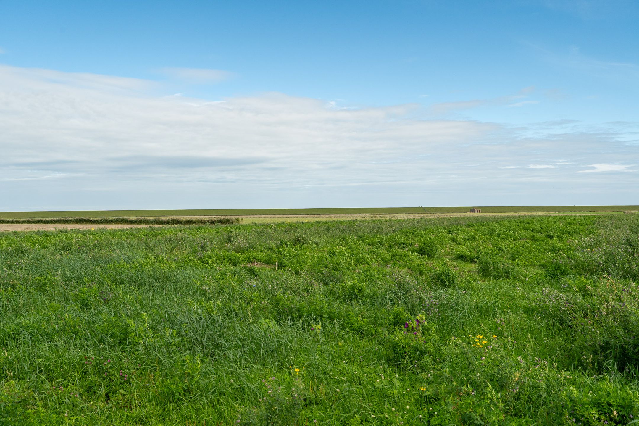 Foto 33 van Efterwei 9