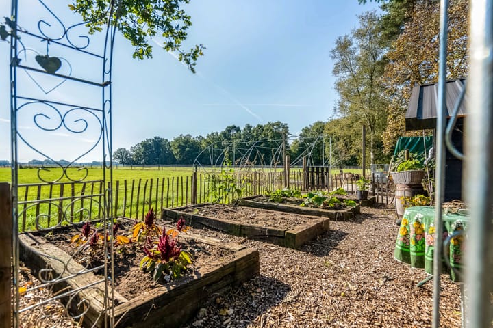 Photo 74 of Witteveen 5