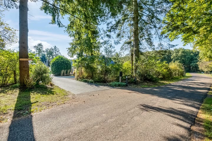 Photo 75 of Witteveen 5