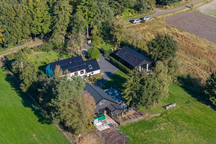 Photo 76 of Witteveen 5