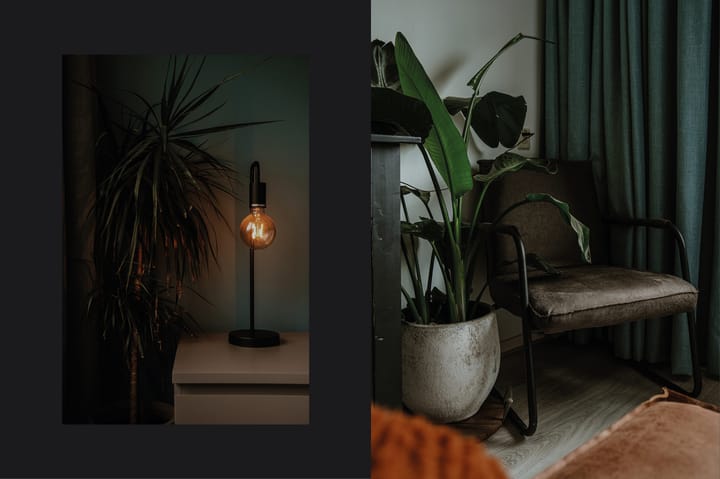 Foto 20 van Saarskampen 11