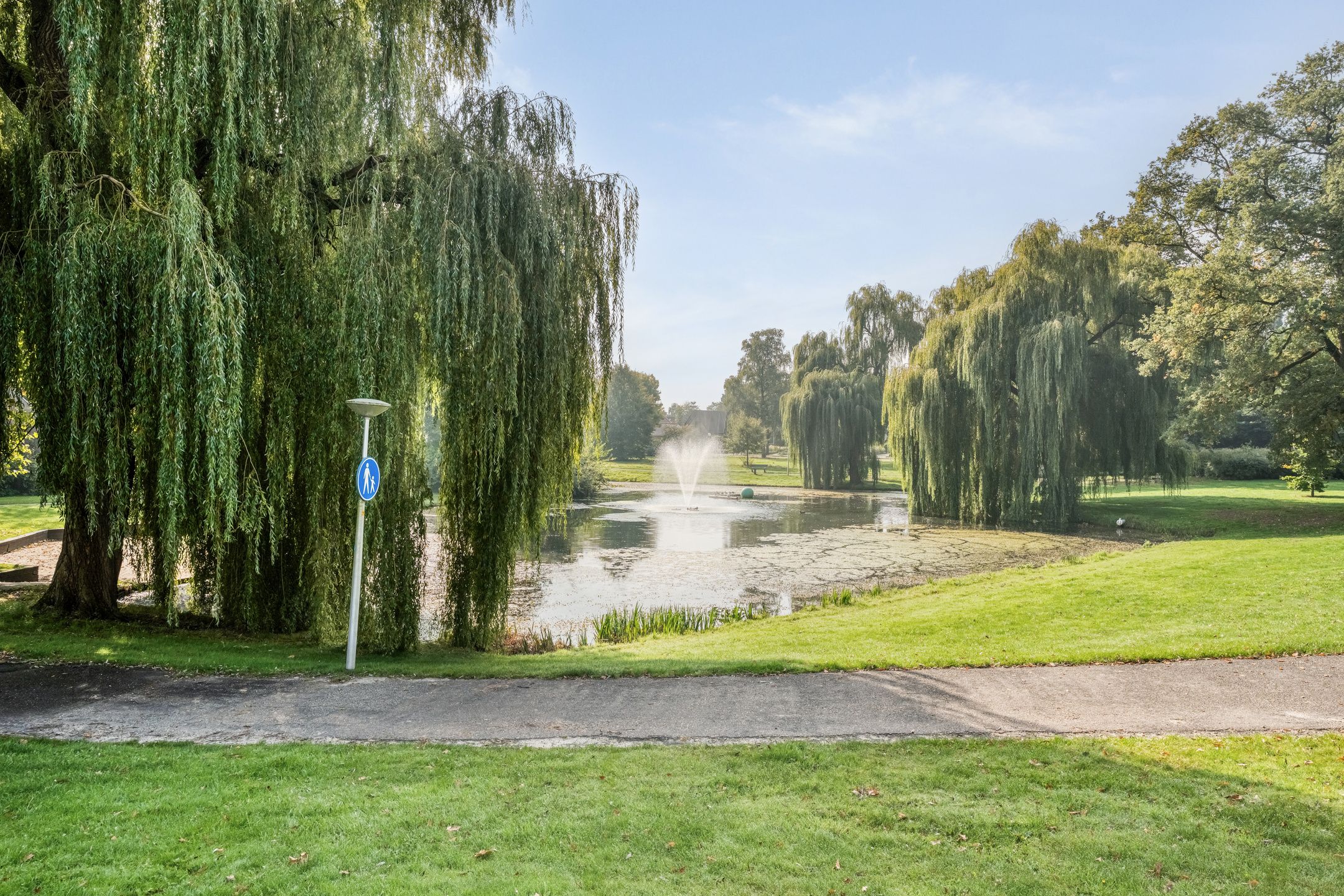 Foto 42 van Gramsberger State 17