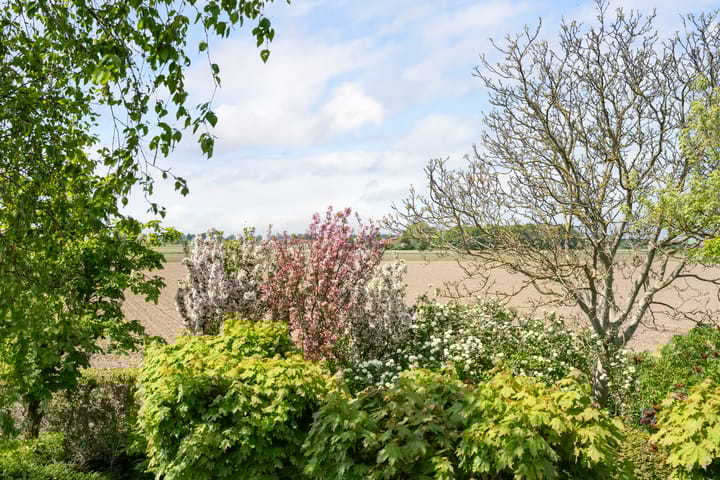 Photo 38 of Vaartweg 9