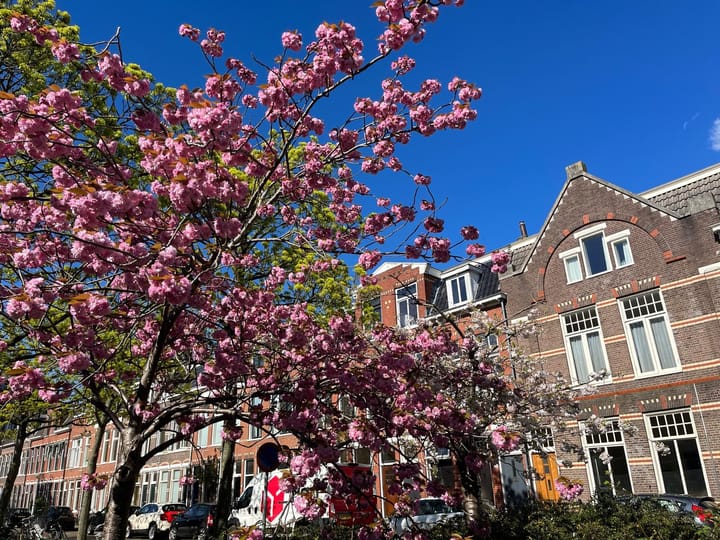 Foto 5 van Abel Tasmanplein 21