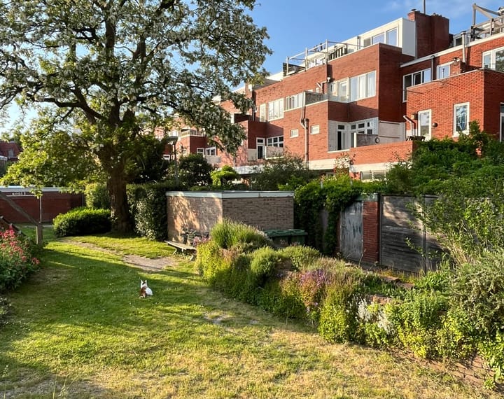 Foto 29 van Abel Tasmanplein 21