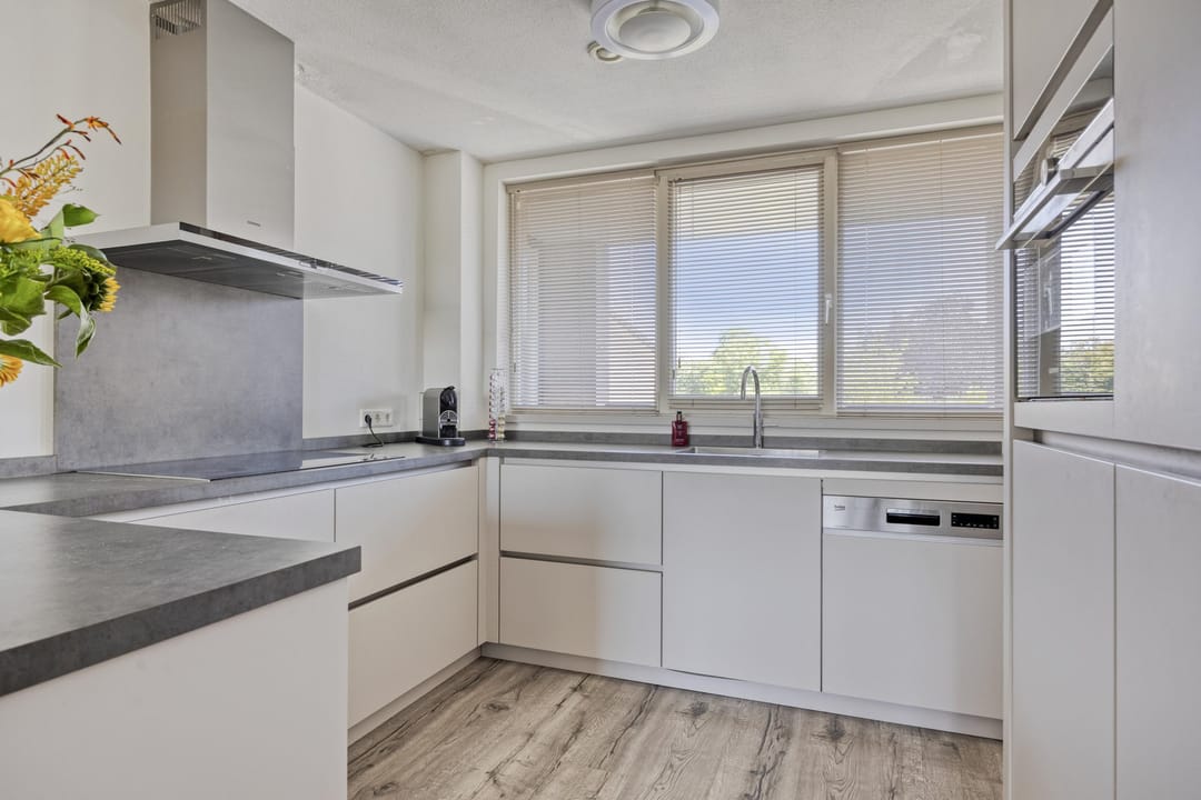 Photo 31 of Den Haas 54