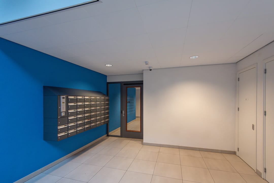 Photo 7 of Lapis Lazuli 158