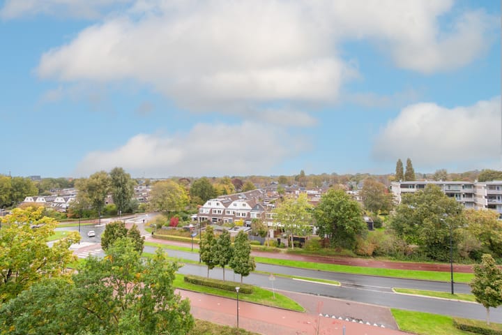 Foto 24 van Lapis Lazuli 158