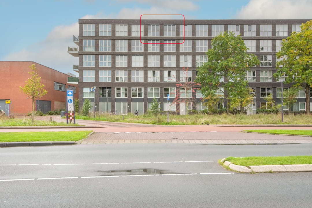 Photo 28 of Lapis Lazuli 158