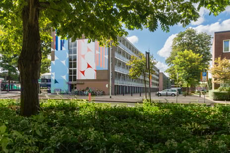 undefined main image