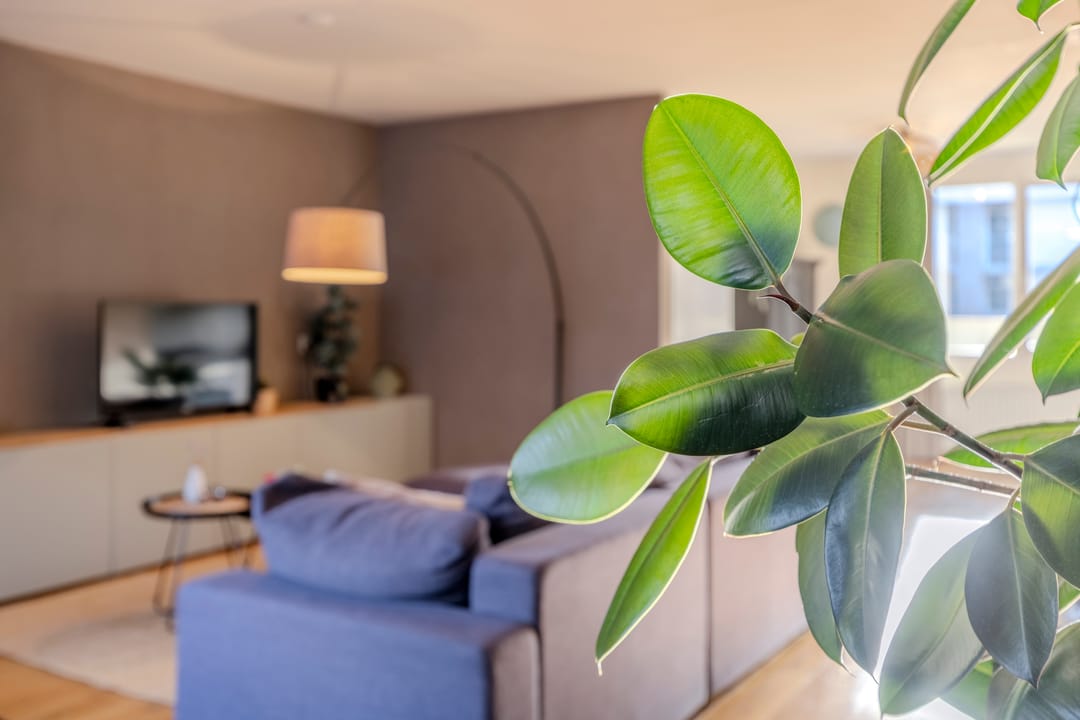 Foto 11 van Withof 7