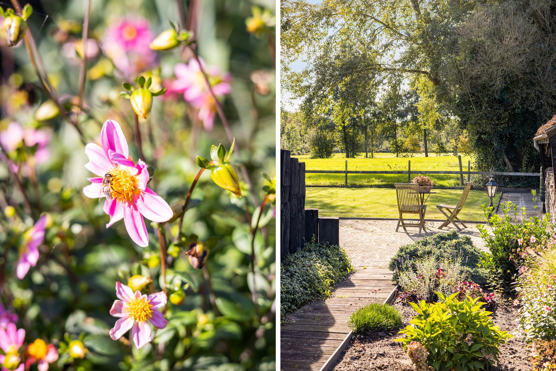 Foto 45 van Foarwei 3