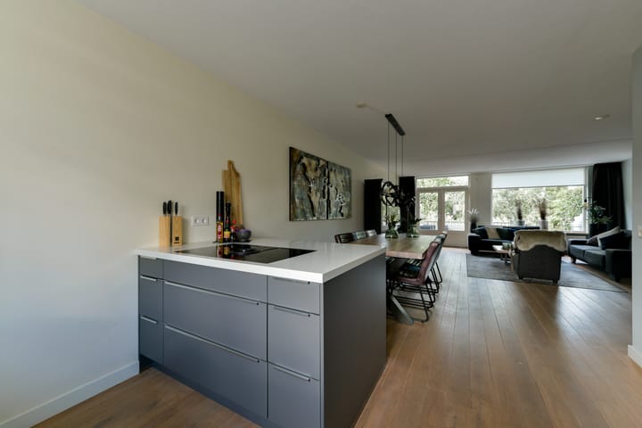 Photo 16 of Joke Smitlaan 51