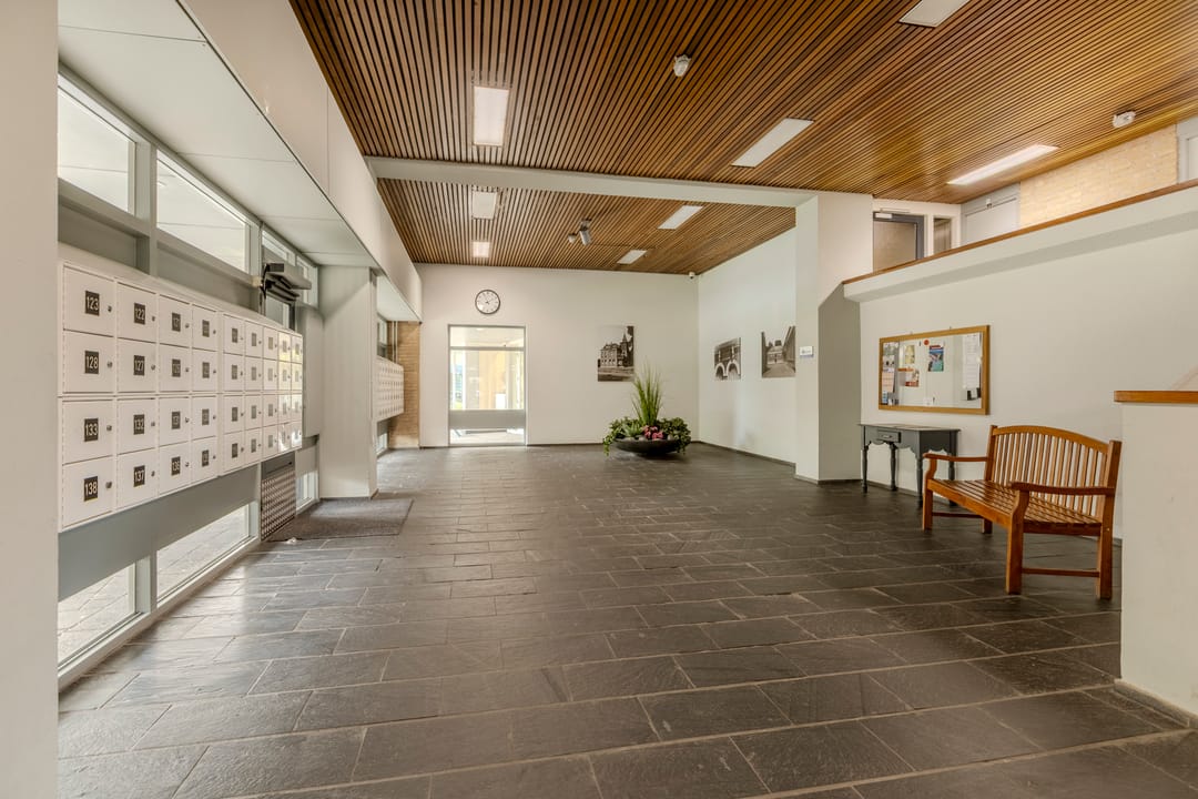 Foto 2 van Schapendries 101