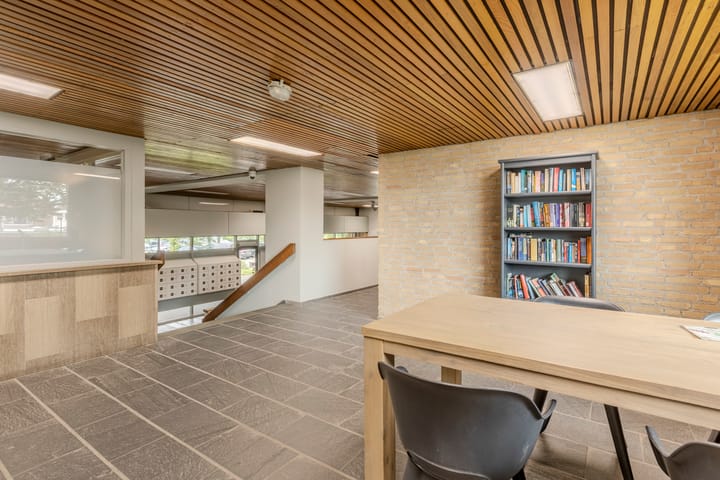 Foto 3 van Schapendries 101