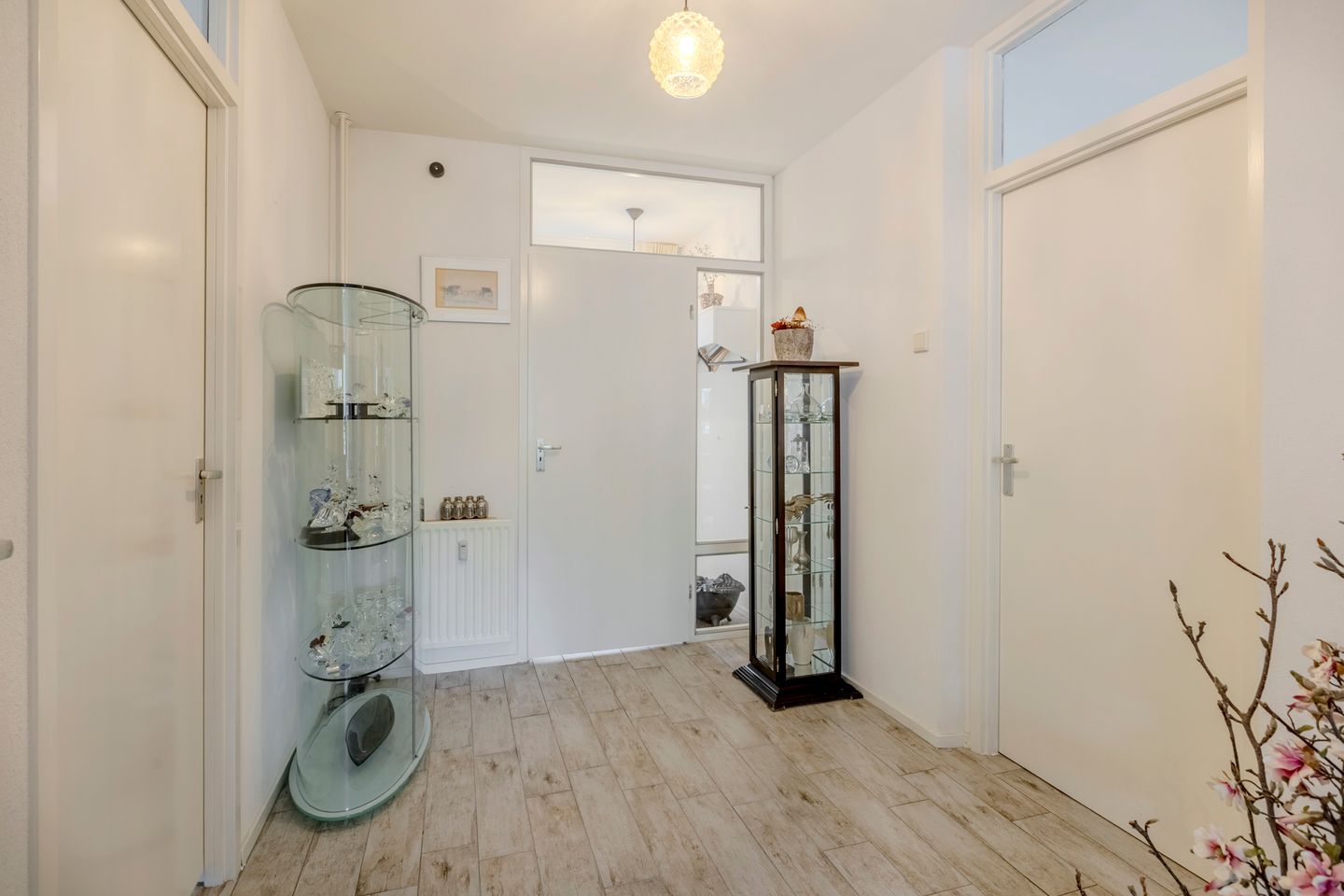 Foto 5 van Schapendries 101