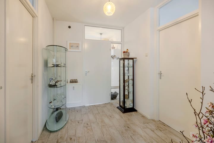 Foto 5 van Schapendries 101