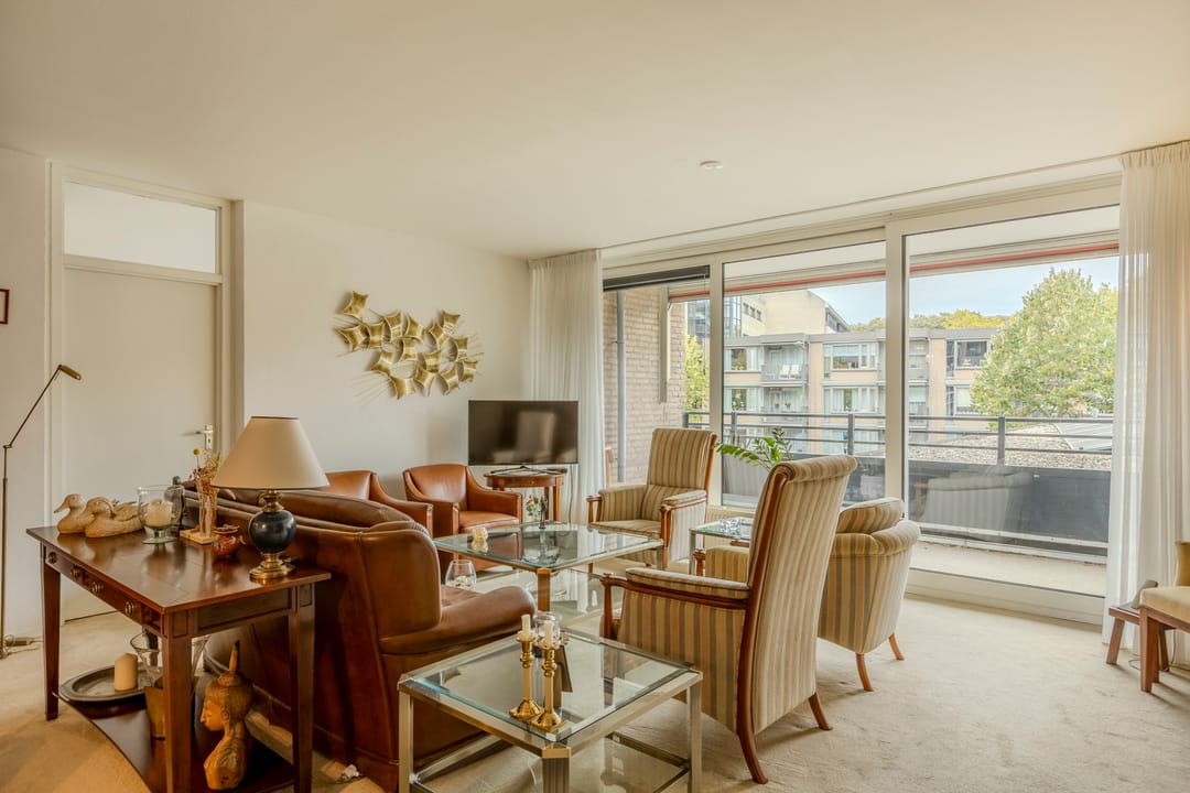 Foto 7 van Schapendries 101